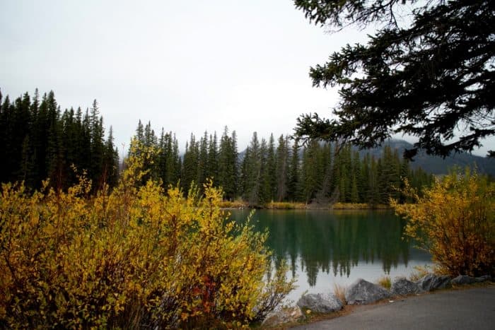 Banff Central Park Natural Playground