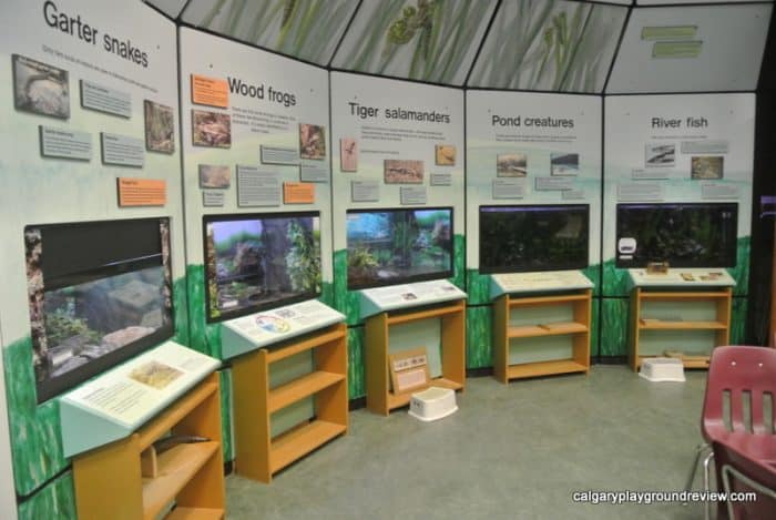 Tegler Discovery Zone - Indoor Play Space at the John Janzen Nature Centre - Edmonton