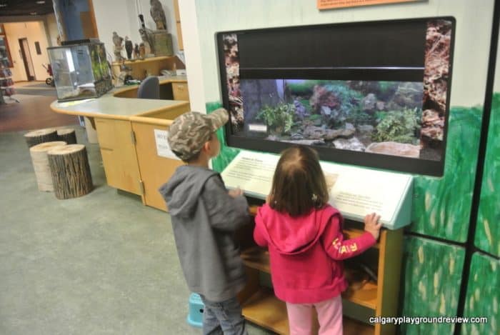 Tegler Discovery Zone - Indoor Play Space at the John Janzen Nature Centre - Edmonton