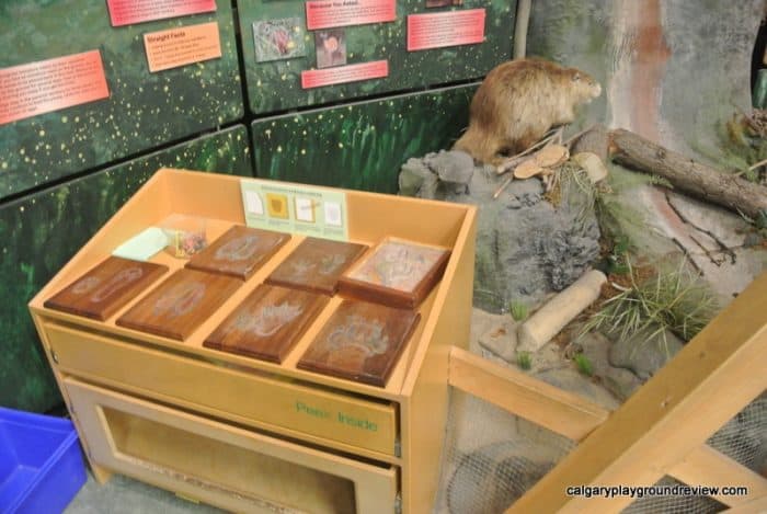 Tegler Discovery Zone - Indoor Play Space at the John Janzen Nature Centre - Edmonton