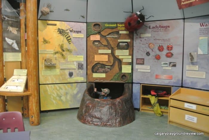 Tegler Discovery Zone - Indoor Play Space at the John Janzen Nature Centre - Edmonton