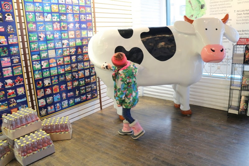 Cows Ice Cream Banff, AB