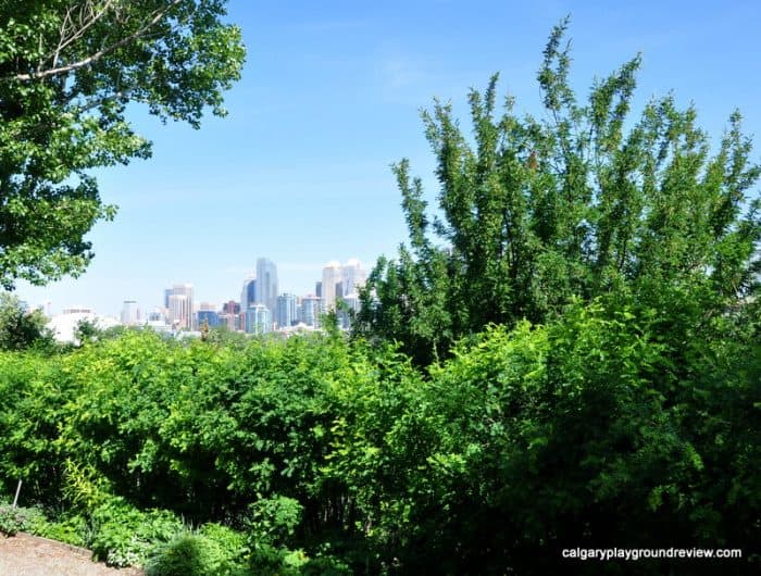 Reader Rock Garden