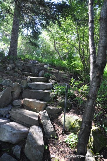 Reader Rock Garden