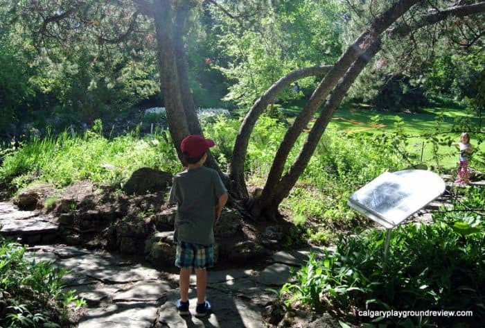 Reader Rock Garden