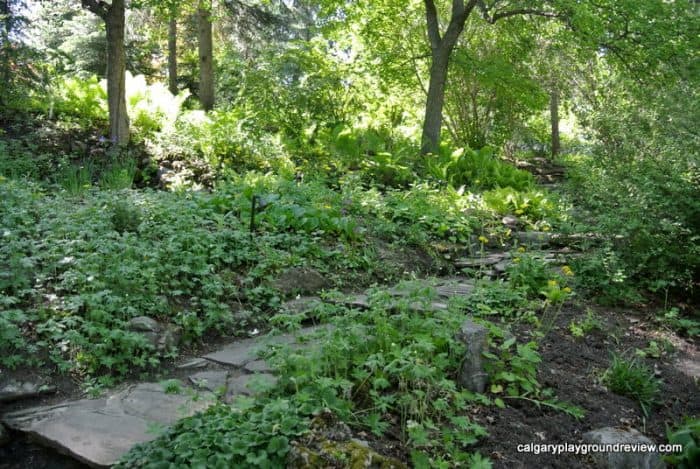 Reader Rock Garden