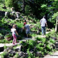 Reader Rock Garden