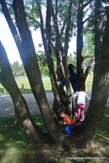 Birchwood Park Natural Playground - High River