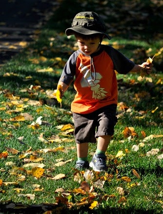 boy running in the leaves - Calgary Parks with Great Fall Leaves