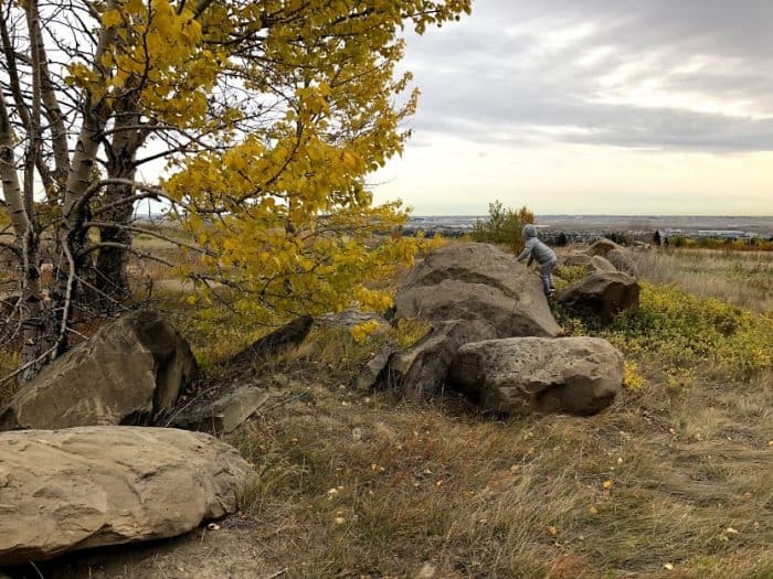 Nose Hill Park in the fall - Calgary Parks with Great Fall Leaves