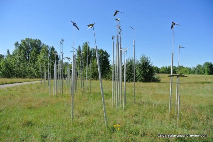 Inglewood Bird Sanctuary