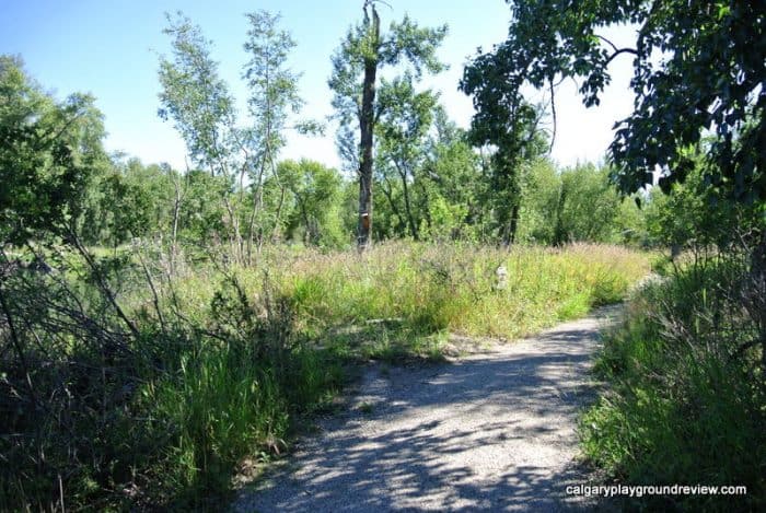 Inglewood Bird Sanctuary