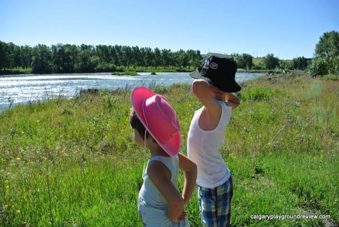 Inglewood Bird Sanctuary