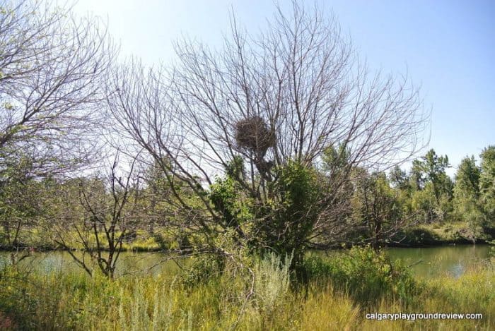 Inglewood Bird Sanctuary