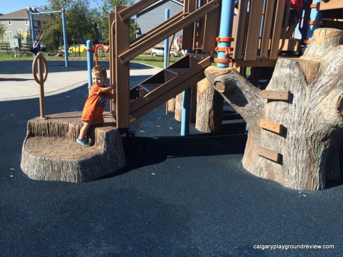 Auburn Bay St North Playground