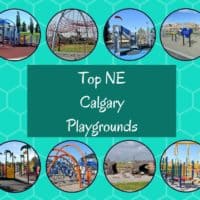 top NE Calgary Playgrounds