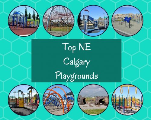 top NE Calgary Playgrounds