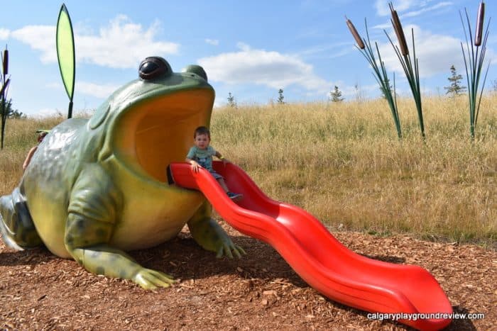 Frog shaped climber with slide