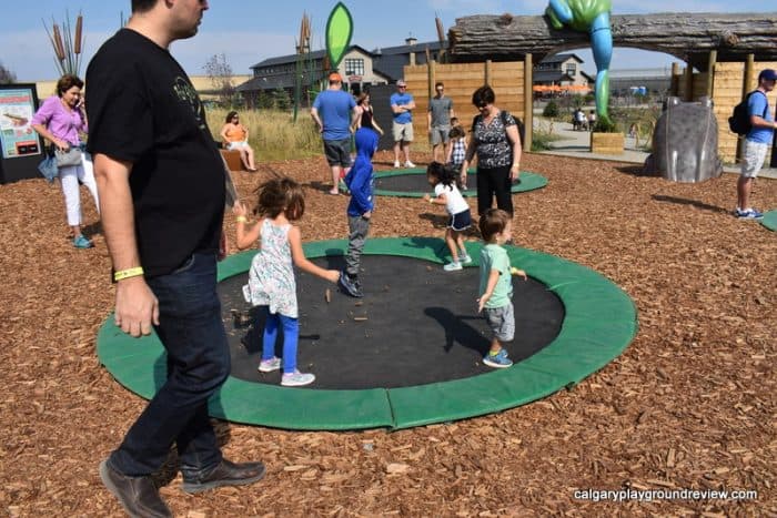 in ground trampolines