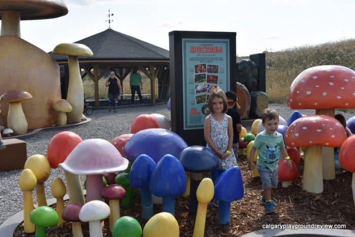 Large colourful mushrooms