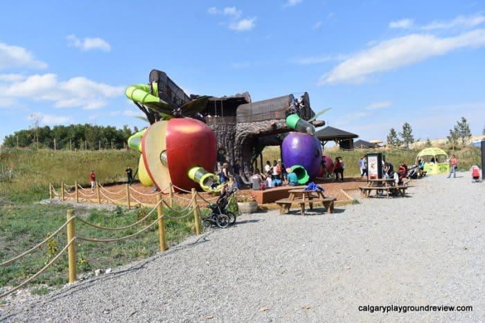 Giant apple and plum climber