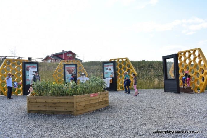 Granary Road - Bee display