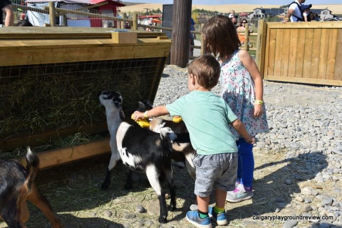 Kids petting a goat at Granary Road Active Learning Park