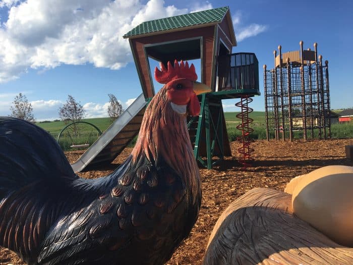 Giant chicken and playground