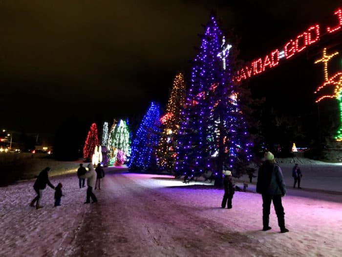 Giant trees at Lions Festival of Lights- Calgary Christmas Light Displays