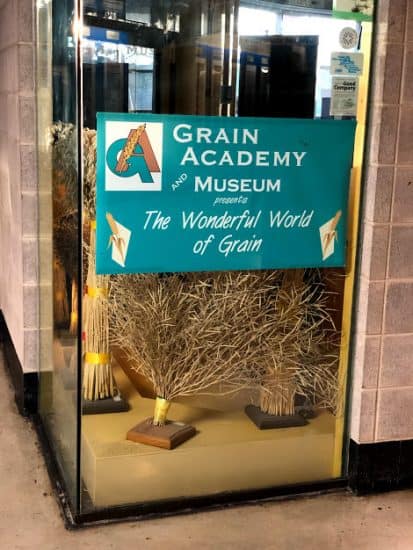 Grain Academy and Museum - 