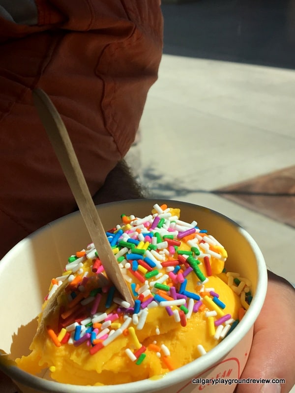 The best dairyfree or vegan ice cream options in Calgary