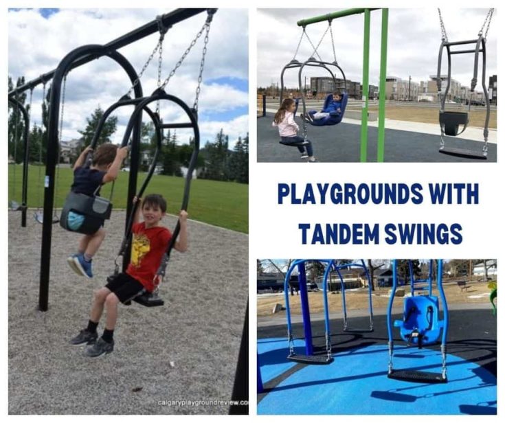 Tandem Swings Expression Swings in Calgary