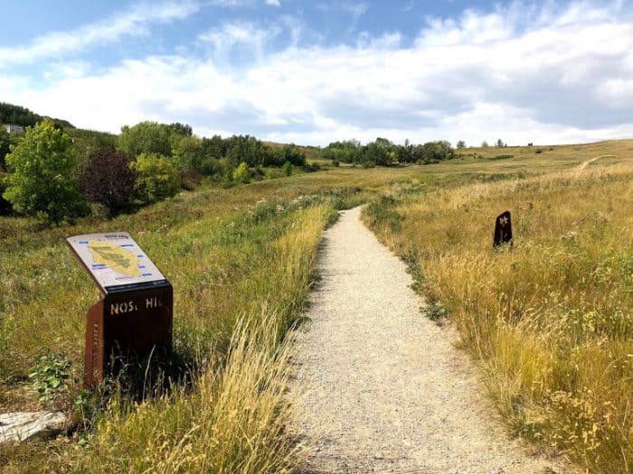 Nose hill 2024 bike trails