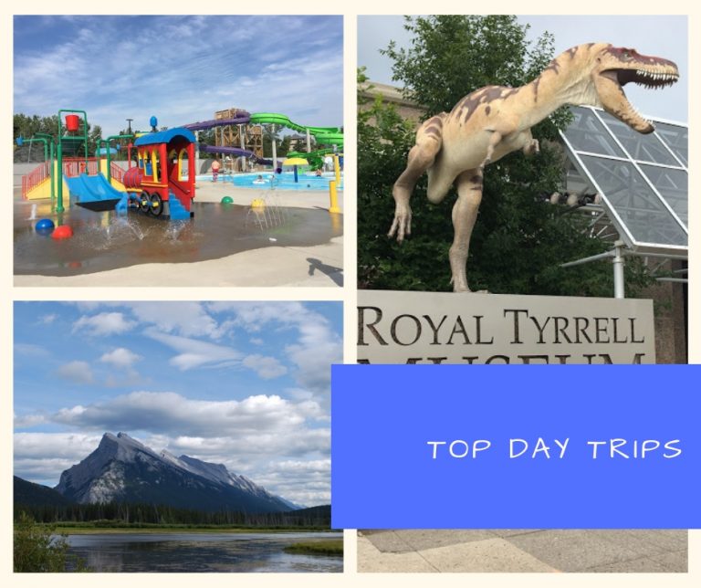 The Top Things to Do with Kids in Calgary