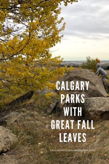 Nose Hill Park, Calgary in the Fall- Calgary Parks with Great Fall Leaves