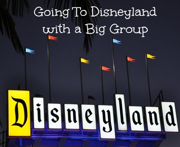 Going to Disneyland with a Big Group